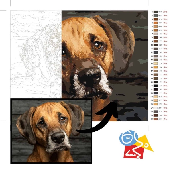 Paint by on sale numbers custom photo